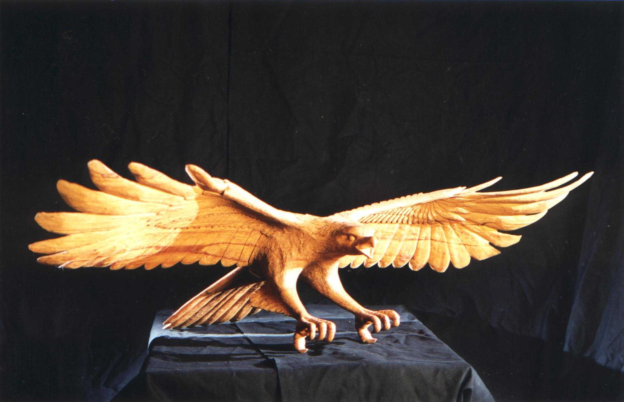 Aigle planeur